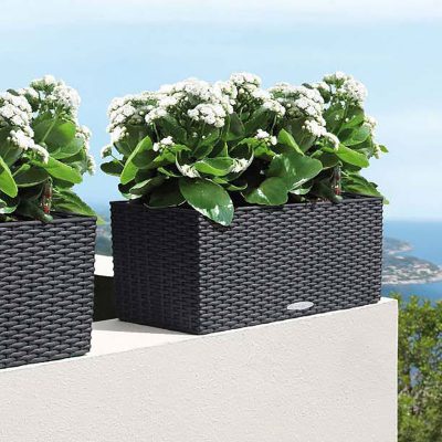 فلاورباکس مشکی دکورز 400x400 1
