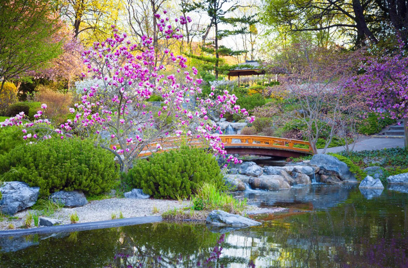 اصول طراحی باغ ژاپنی زیبا