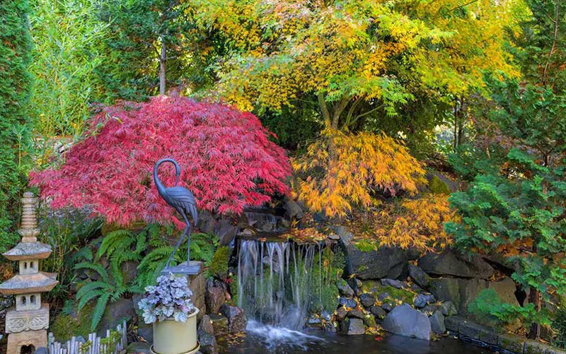 سنگ و فانوس در باغ ژاپنی